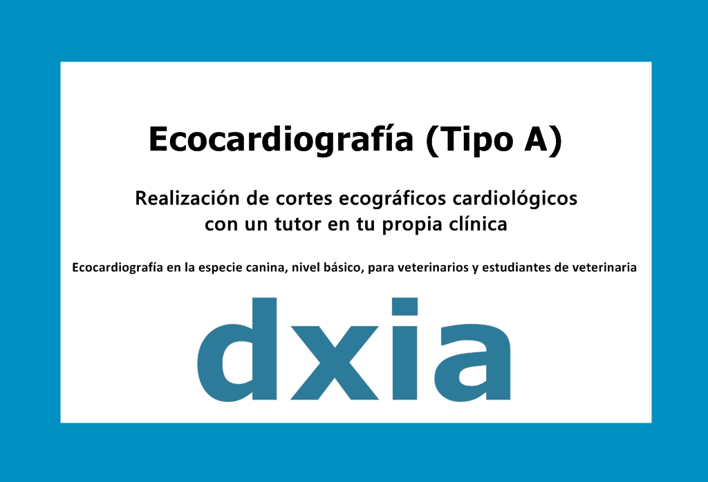 Formacion Ecocardiograma tipo-A DXIA