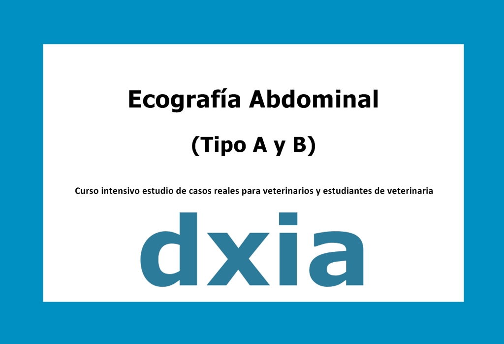 Formacion Ecografia Abdominal Tipo-A-B DXIA