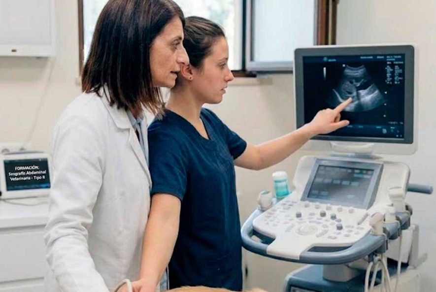 Imagen ecografía abdominal tipo b