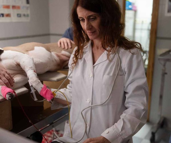 Fotografía de electrocardiograma