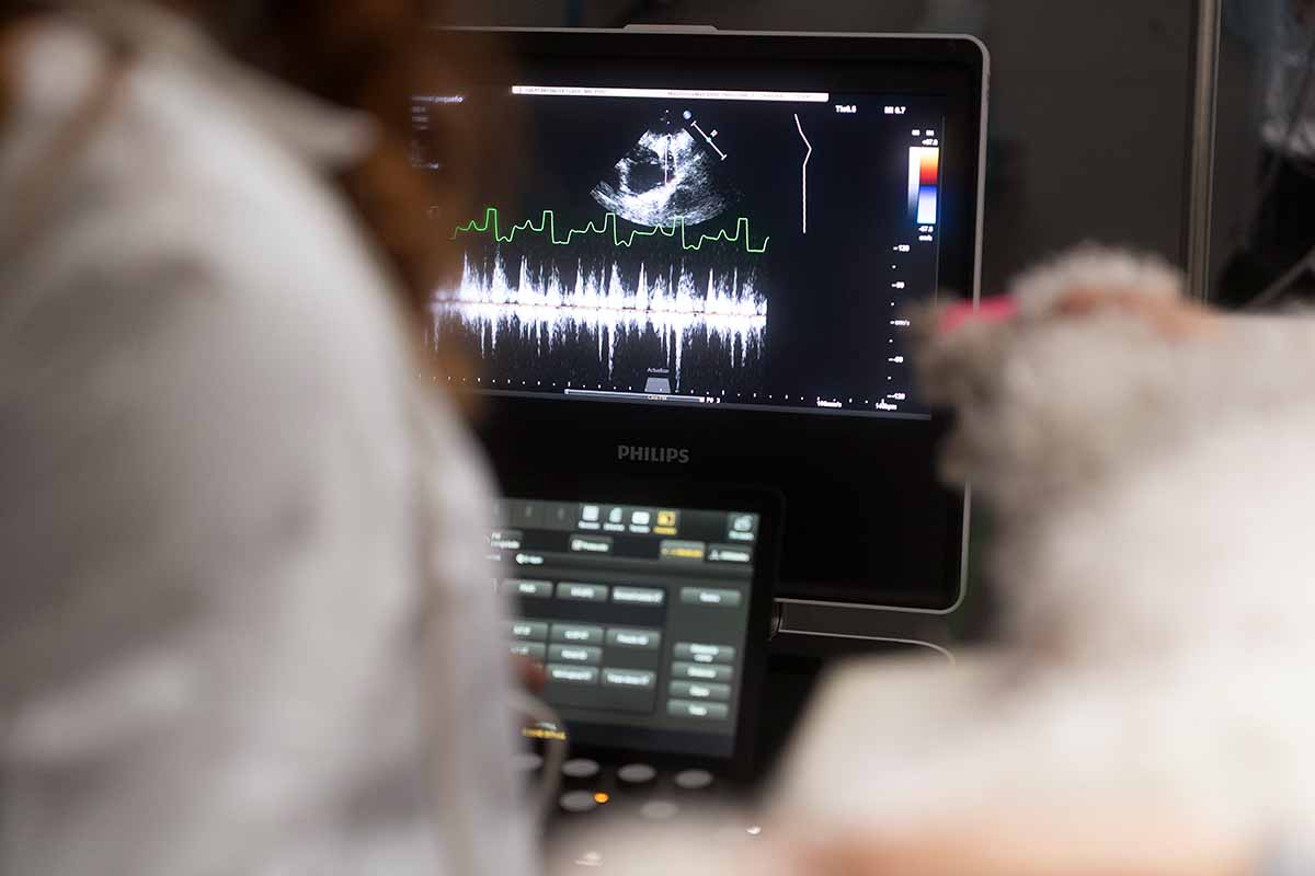 Diagnostico Ambulante